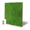 JANGAL Pannelli acustici Modulabili in FLORA sintetica ULTRAREALISTICA 52x52cm mod. ANCIENT TREE - Eternal Parquet