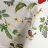 Tovaglia x12 ANNURCA by Tessitura Randi