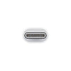 Adattatore APPLE da USB-C a Lightning