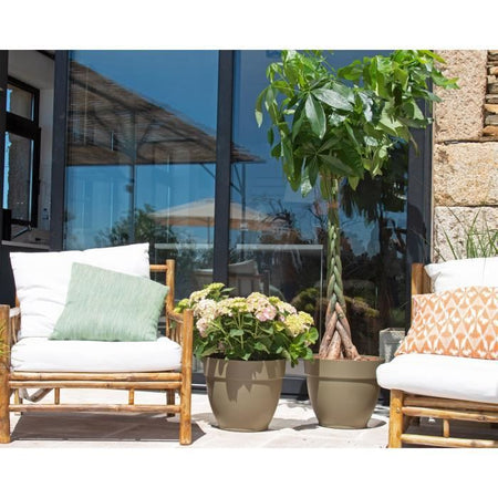 CAPRI CAMPANA VASO 35CM ANTRACITE