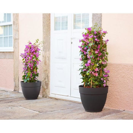 CAPRI CAMPANA VASO 35CM ANTRACITE