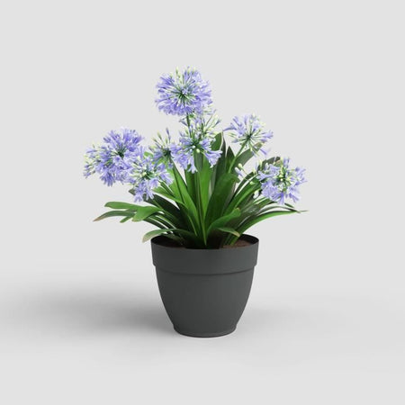 CAPRI CAMPANA VASO 35CM ANTRACITE