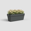 ARTEVASI - Kit fioriera da balcone capri re 50cm v2 antracite 50,2 x 28,5 x h20 cm - 1,45l