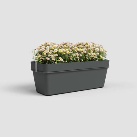 ARTEVASI - Kit fioriera da balcone capri re 50cm v2 antracite 50,2 x 28,5 x h20 cm - 1,45l