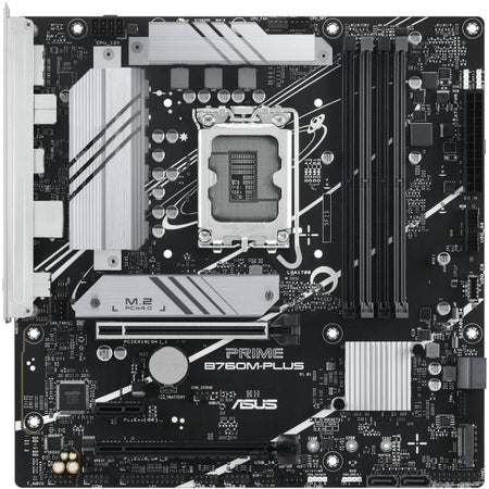 Scheda madre - ASUS - PRIME B760M-PLUS - Intel B760 LGA 1700 micro ATX