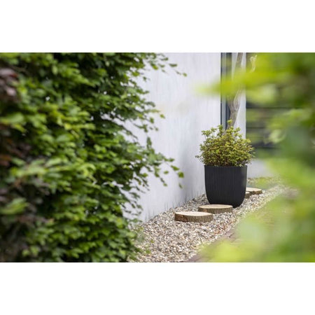 Vaso da fiori a sfera - CAPI EUROPE - GROOVE NL - 43 x 41 cm - Nero