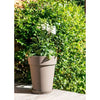 Vaso EDA Tuscan Mid Top -  44 x 53 cm - 50 L - Taupe