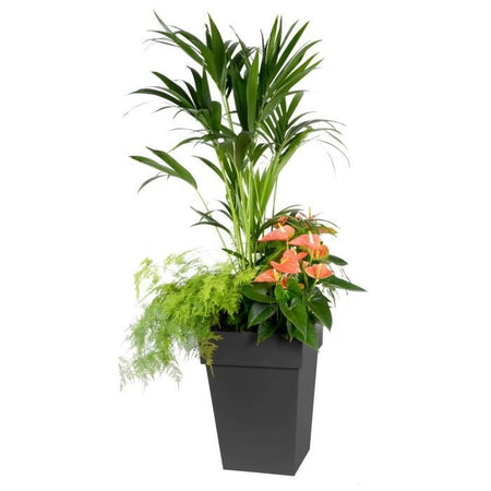 EDA Vaso di fiori Toscana 51L