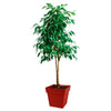 EDA Tuscan Square Flower Pot - 39 x 39 x H 39 cm - 38 L - Rosso Ruby