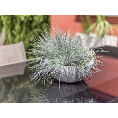 EDA PLASTIQUE - Vaso lavabo Graphit'Up  30 - 5,5L - Bianco lime