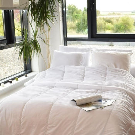 Piumino speciale coccoloso - Temperate - 240 x 220 cm - 250 g/m - Bianco