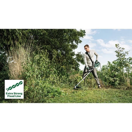 Siepe AFS 23-37