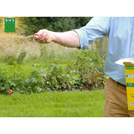 Prato - BHS - Sun Lawn 3kg  Resistente al clima mediterraneo e alla siccità