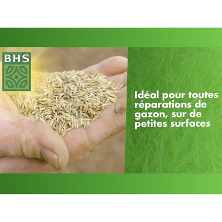 Top Dress' Lawn Repair - BHS - 500g  20 mq  Semi rivestiti per una migliore adesione al terreno.