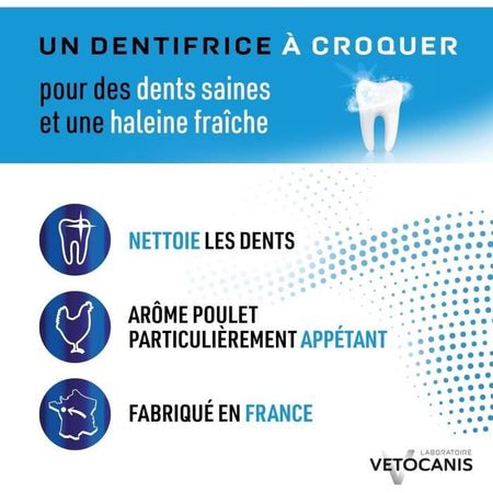 Dentifricio cane masticabile