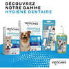 Dentifricio cane masticabile