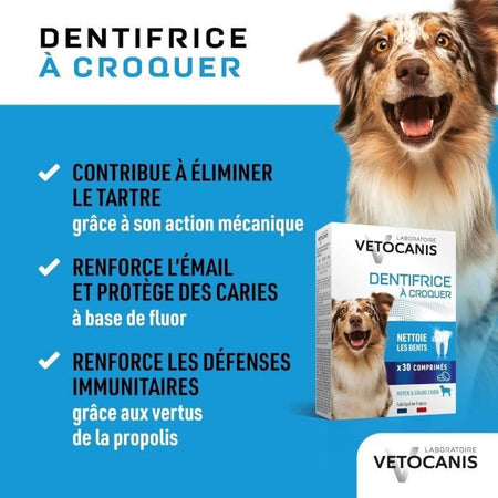 Dentifricio cane masticabile