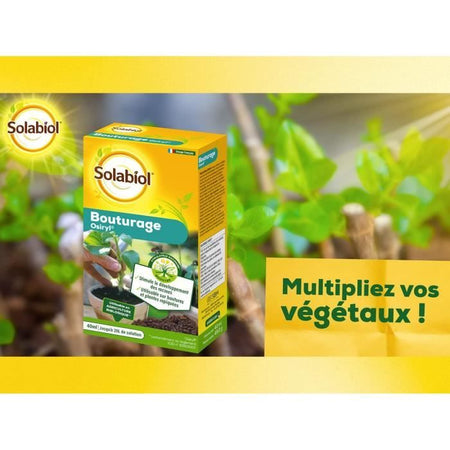 SOLABIOL SOBOUTU40 Taglio osirilico - 40 ml