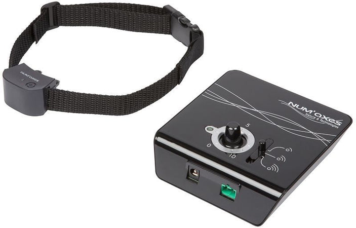 Impostare piccola Canifugue pieno