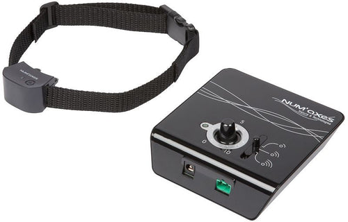 Impostare piccola Canifugue pieno