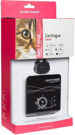 Impostare piccola Canifugue pieno