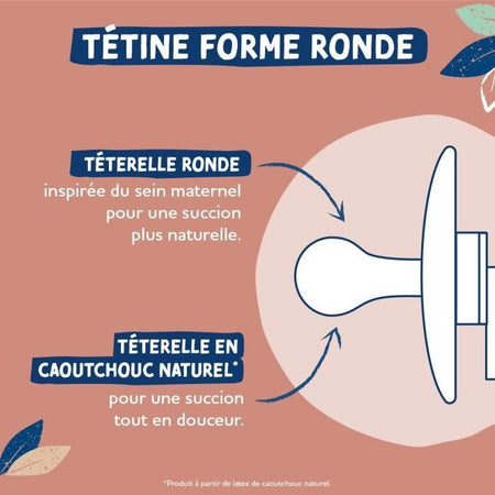 Ciucci Dodie Gaia +6m in gomma naturale - Confezione da 2