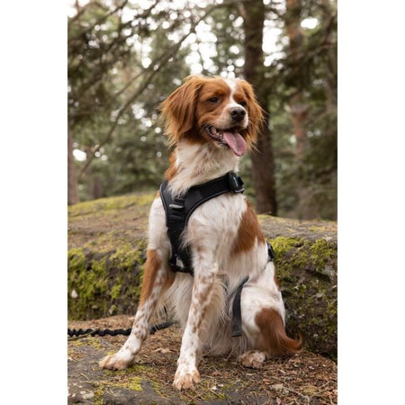 Pettorina per cani - SYMBIOZ - M - Nera / Blu