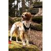 Pettorina per cani - SYMBIOZ - M - Nera / Blu