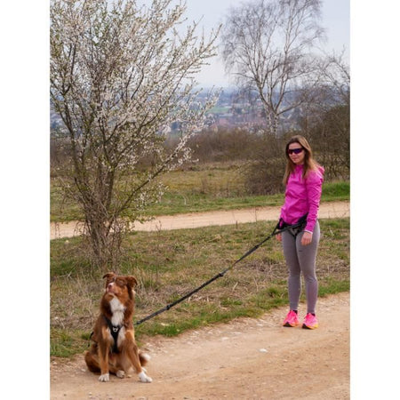 Pettorina per cani - SYMBIOZ - M - Nera / Blu