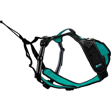 Pettorina per cani - SYMBIOZ - XS - Nera / Blu