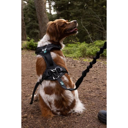 Pettorina per cani - SYMBIOZ - XS - Nera / Blu