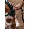 Pettorina per cani - SYMBIOZ - XS - Nera / Blu