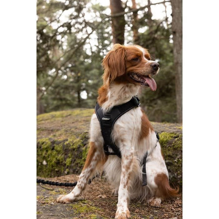 Pettorina per cani - SYMBIOZ - L - Nera / Blu