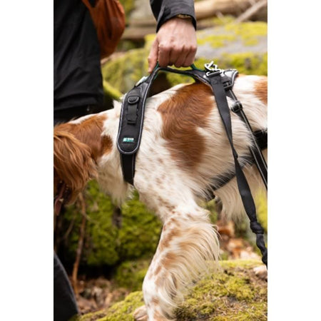 Pettorina per cani - SYMBIOZ - L - Nera / Blu