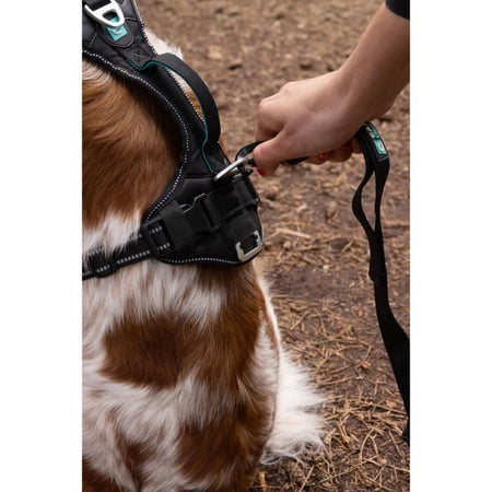 Pettorina per cani - SYMBIOZ - XL - Nera / Blu