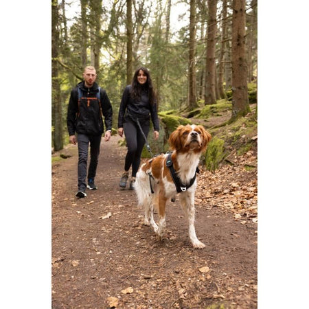 Pettorina per cani - SYMBIOZ - XL - Nera / Blu