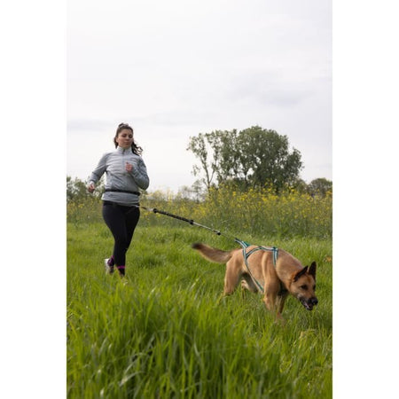 Guinzaglio per cani - CLASSICA - XL - 2,4 m - Cani fino a 25 kg