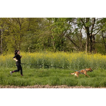 Guinzaglio per cani - CLASSICA - XL - 2,4 m - Cani fino a 25 kg