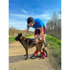 Imbracatura da trazione per cani - OLYMPIA - S - Tipo X-back - Blu