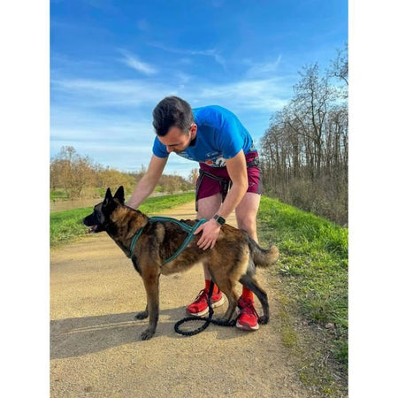 Pettorina da trazione per cani - OLYMPIA - XS - Tipo X-back - Blu