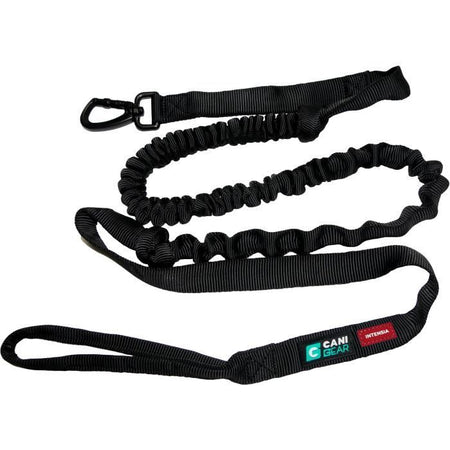 Guinzaglio per cani - INTENSIA - 1,9 m - Doppia maniglia