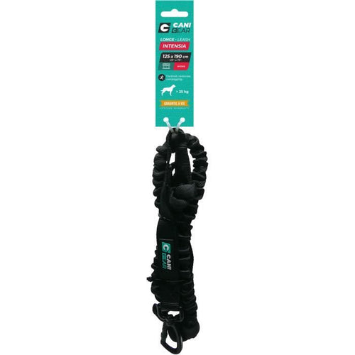 Guinzaglio per cani - INTENSIA - 1,9 m - Doppia maniglia