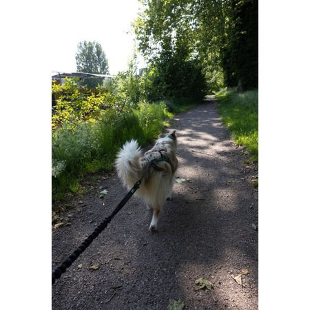 Guinzaglio per cani - INTENSIA - 1,9 m - Doppia maniglia