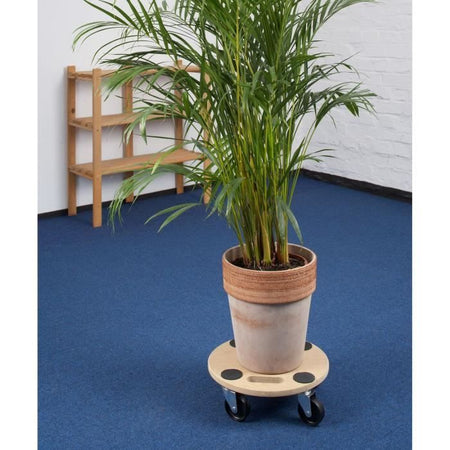 Dolly  350 millimetri 150kg