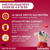 Pipette antiparassitarie ADVANTIX 4 - Per cani di piccola taglia da 4 a 10 kg