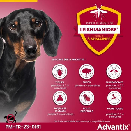 Pipette antiparassitarie ADVANTIX 4 - Per cani di piccola taglia da 4 a 10 kg