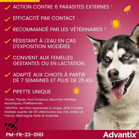 Pipette antiparassitarie ADVANTIX 6 - Per cani di grossa taglia oltre 25 kg