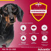 Pipette antiparassitarie ADVANTIX 6 - Per cani di piccola taglia da 4 a 10 kg