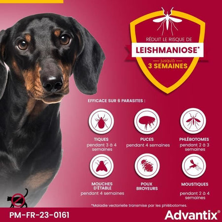 Pipette antiparassitarie ADVANTIX 6 - Per cani molto piccoli da 1,5 a 4 kg
