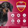 Pipette antiparassitarie ADVANTIX 6 - Per cani molto piccoli da 1,5 a 4 kg